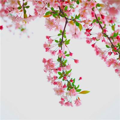 大小单双赚钱平台